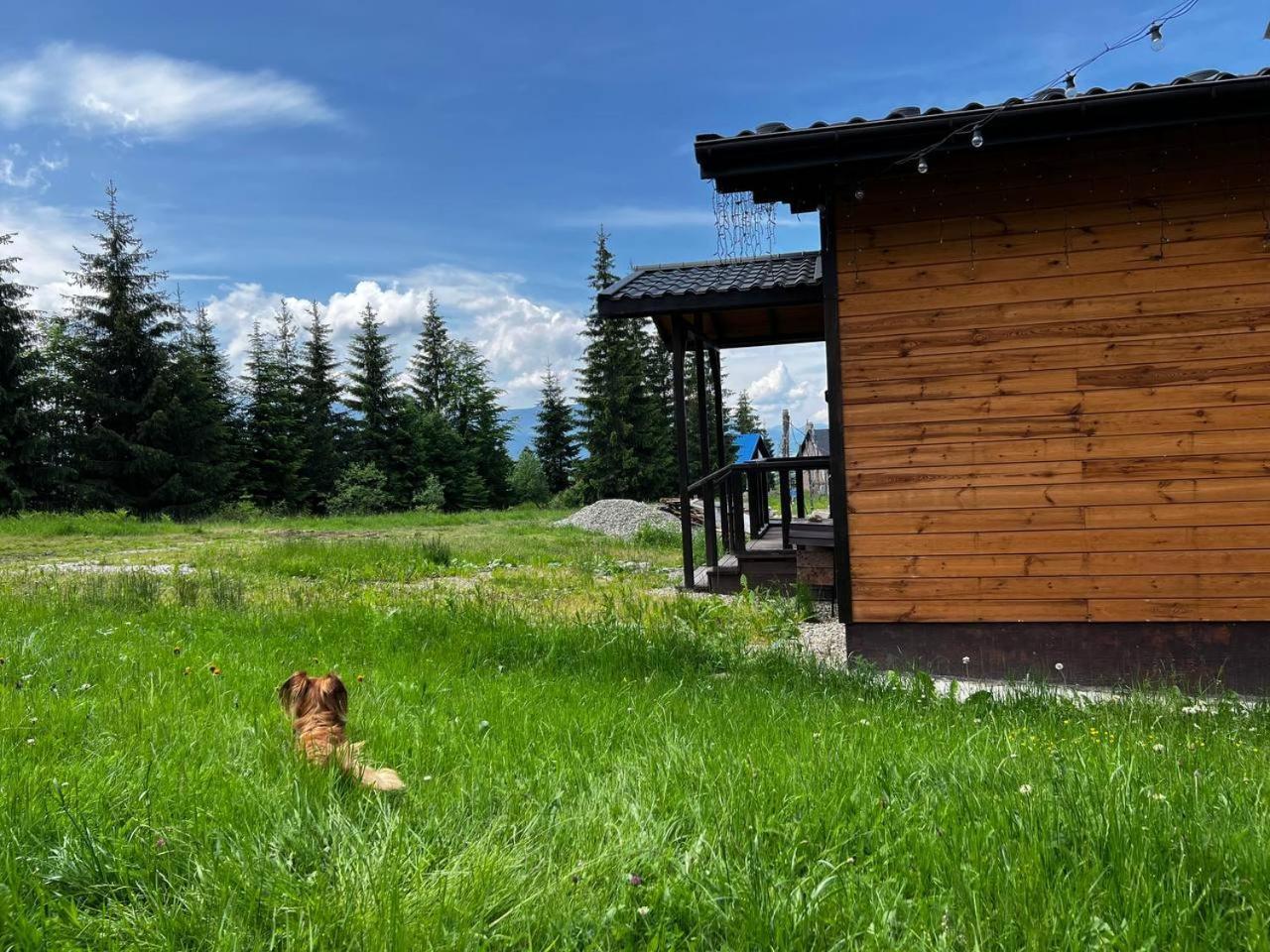 Коттедж Для Отдыха Дискавери Yablunytsya Exterior photo