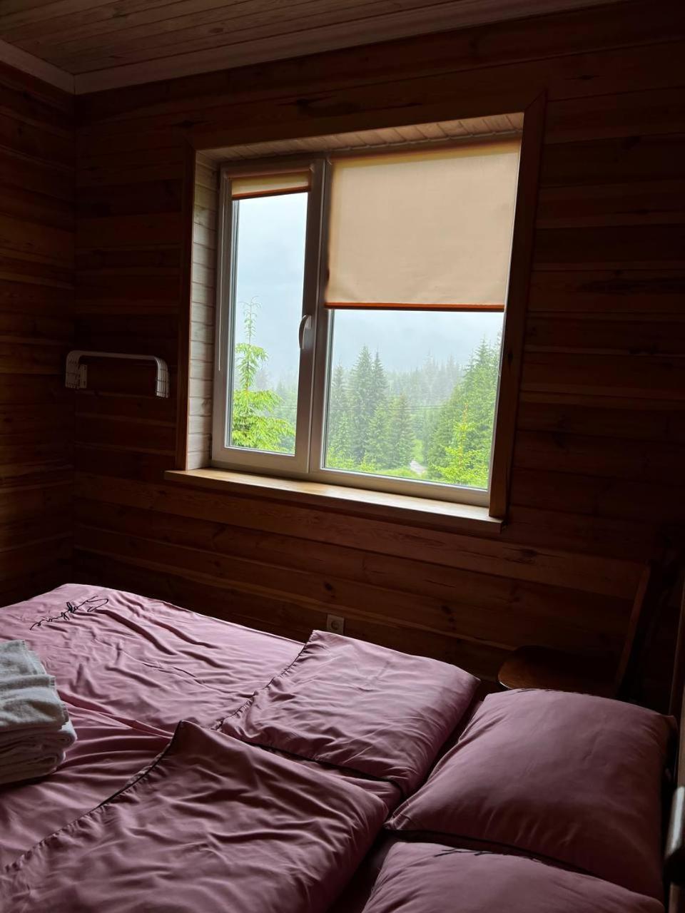 Коттедж Для Отдыха Дискавери Yablunytsya Exterior photo