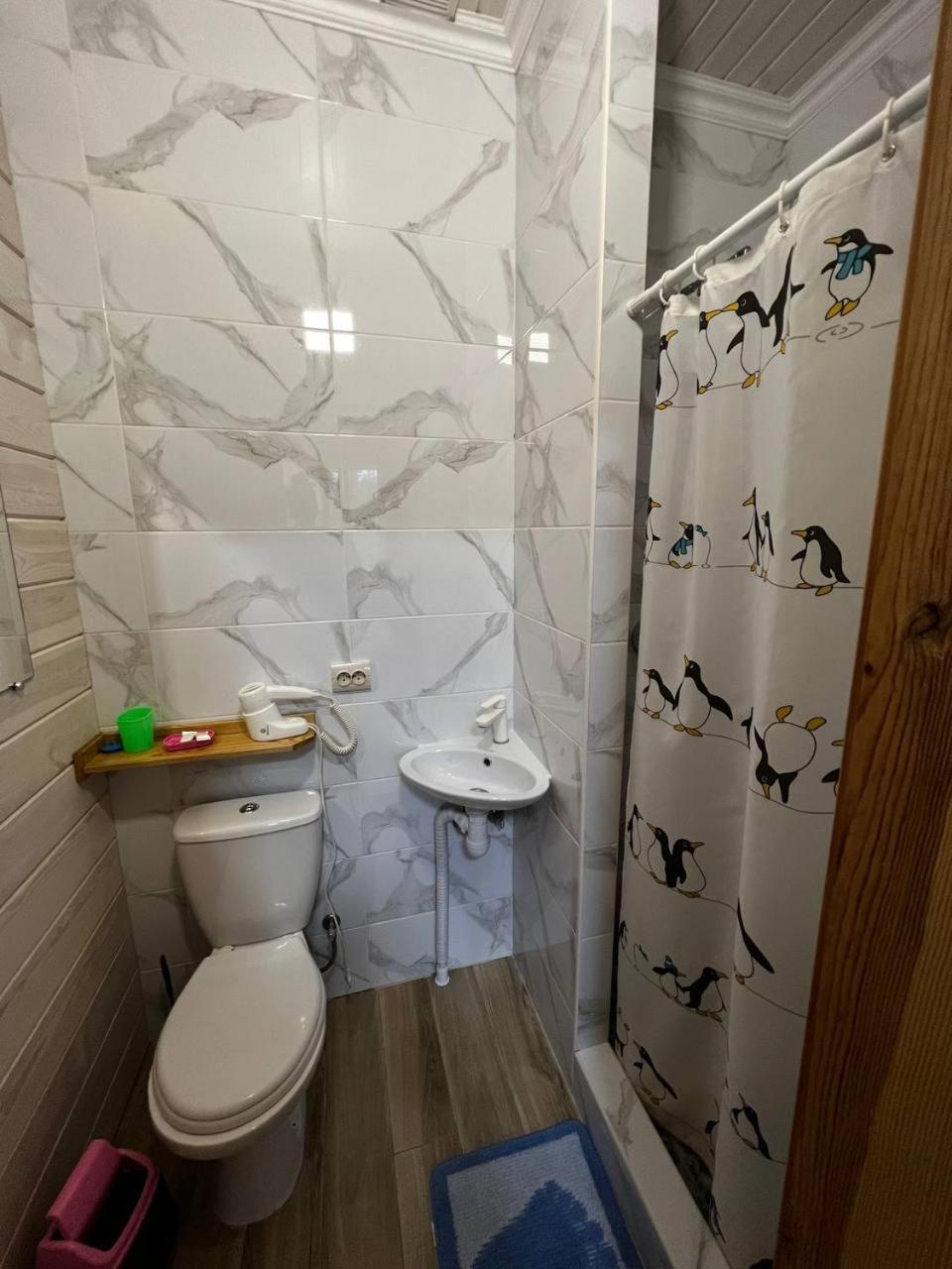 Коттедж Для Отдыха Дискавери Yablunytsya Exterior photo
