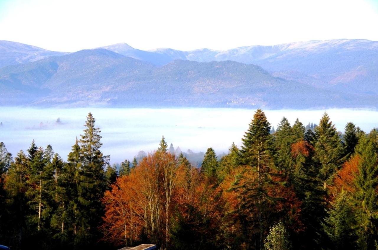Коттедж Для Отдыха Дискавери Yablunytsya Exterior photo