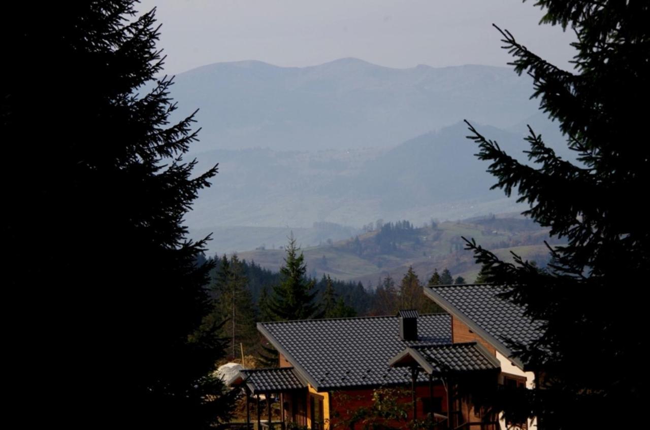 Коттедж Для Отдыха Дискавери Yablunytsya Exterior photo