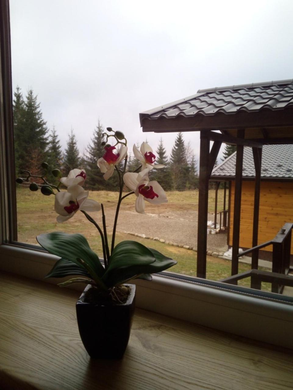 Коттедж Для Отдыха Дискавери Yablunytsya Exterior photo