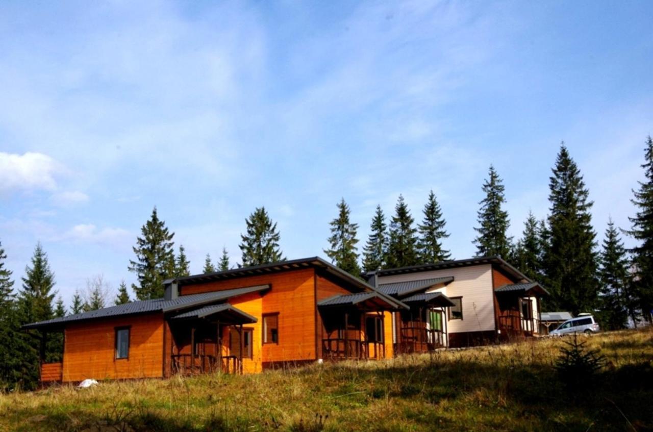 Коттедж Для Отдыха Дискавери Yablunytsya Exterior photo