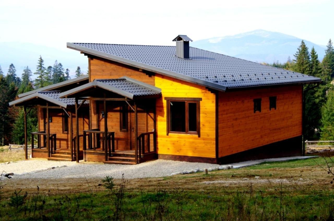 Коттедж Для Отдыха Дискавери Yablunytsya Exterior photo