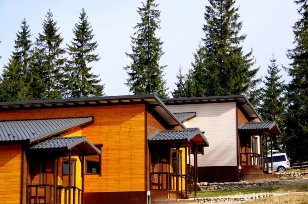 Коттедж Для Отдыха Дискавери Yablunytsya Exterior photo