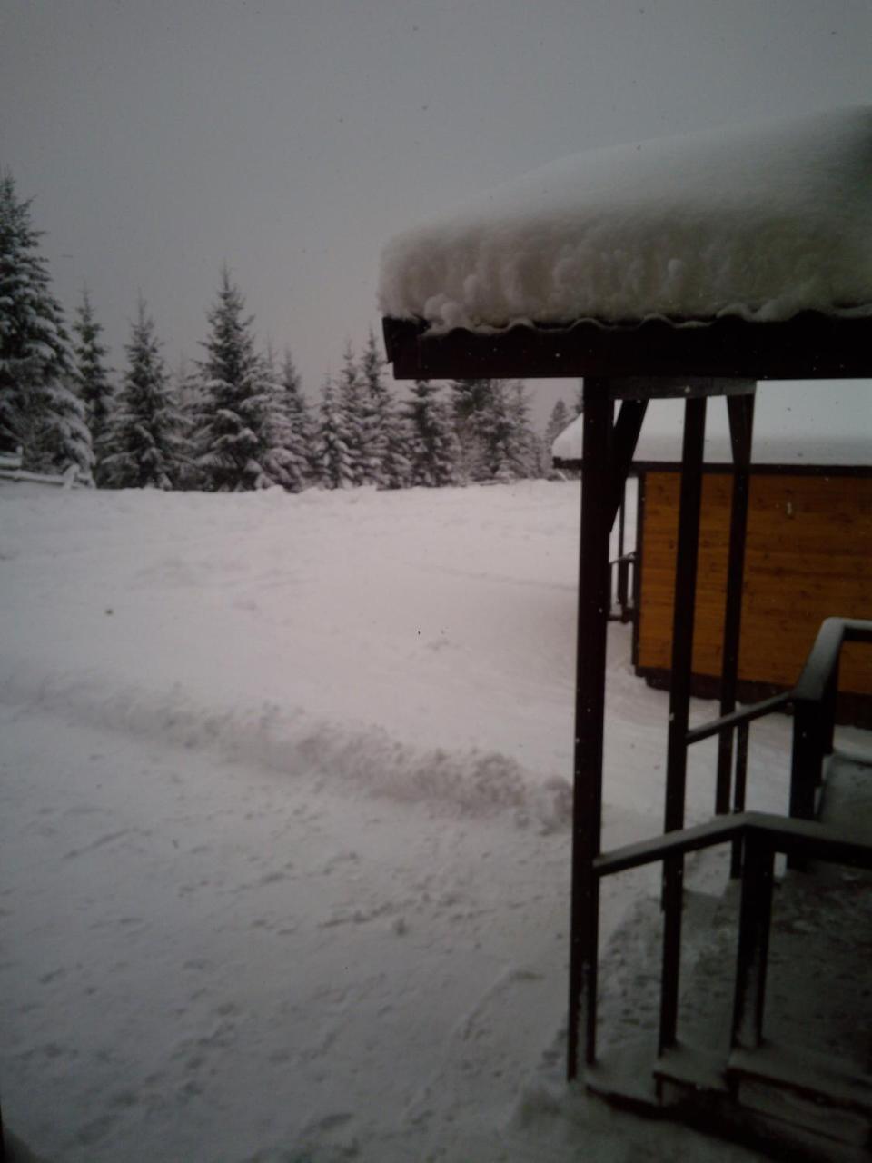 Коттедж Для Отдыха Дискавери Yablunytsya Exterior photo