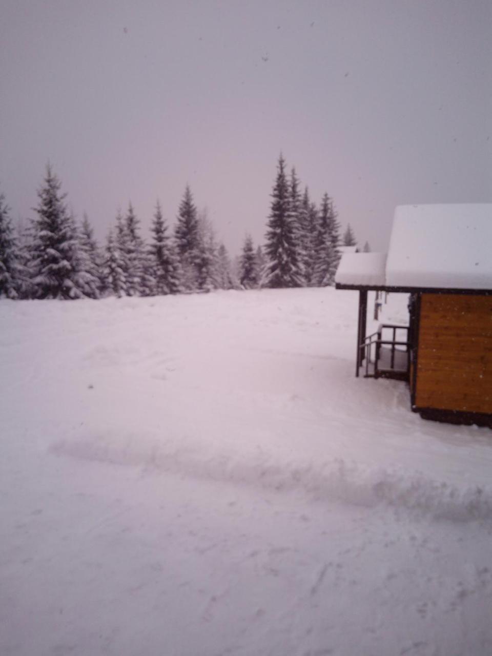Коттедж Для Отдыха Дискавери Yablunytsya Exterior photo