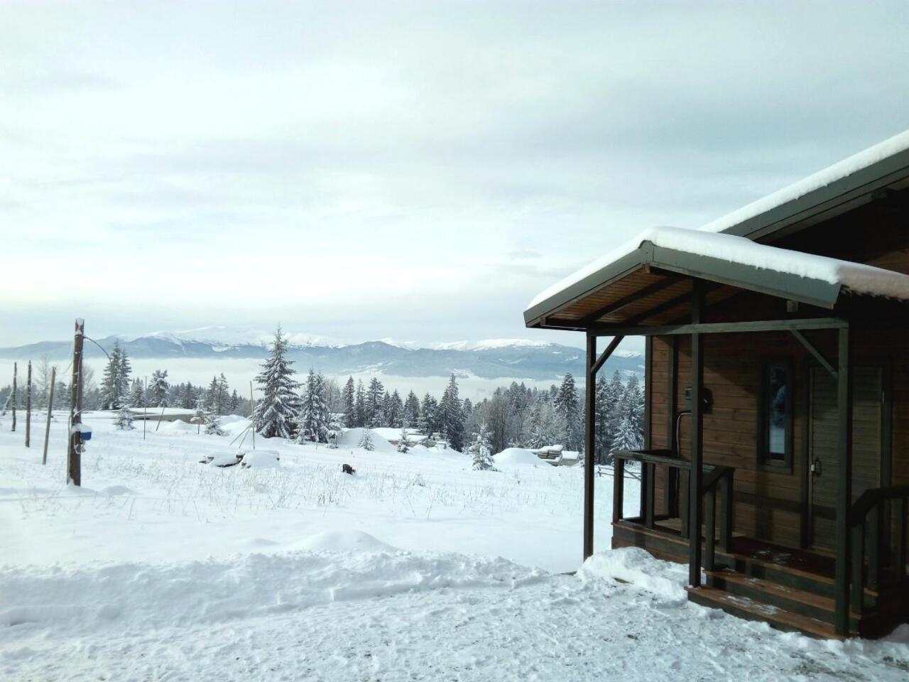 Коттедж Для Отдыха Дискавери Yablunytsya Exterior photo
