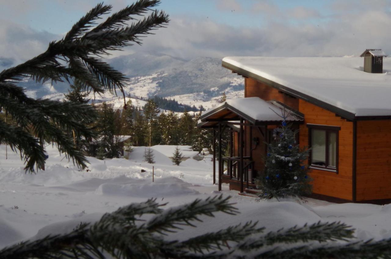 Коттедж Для Отдыха Дискавери Yablunytsya Exterior photo