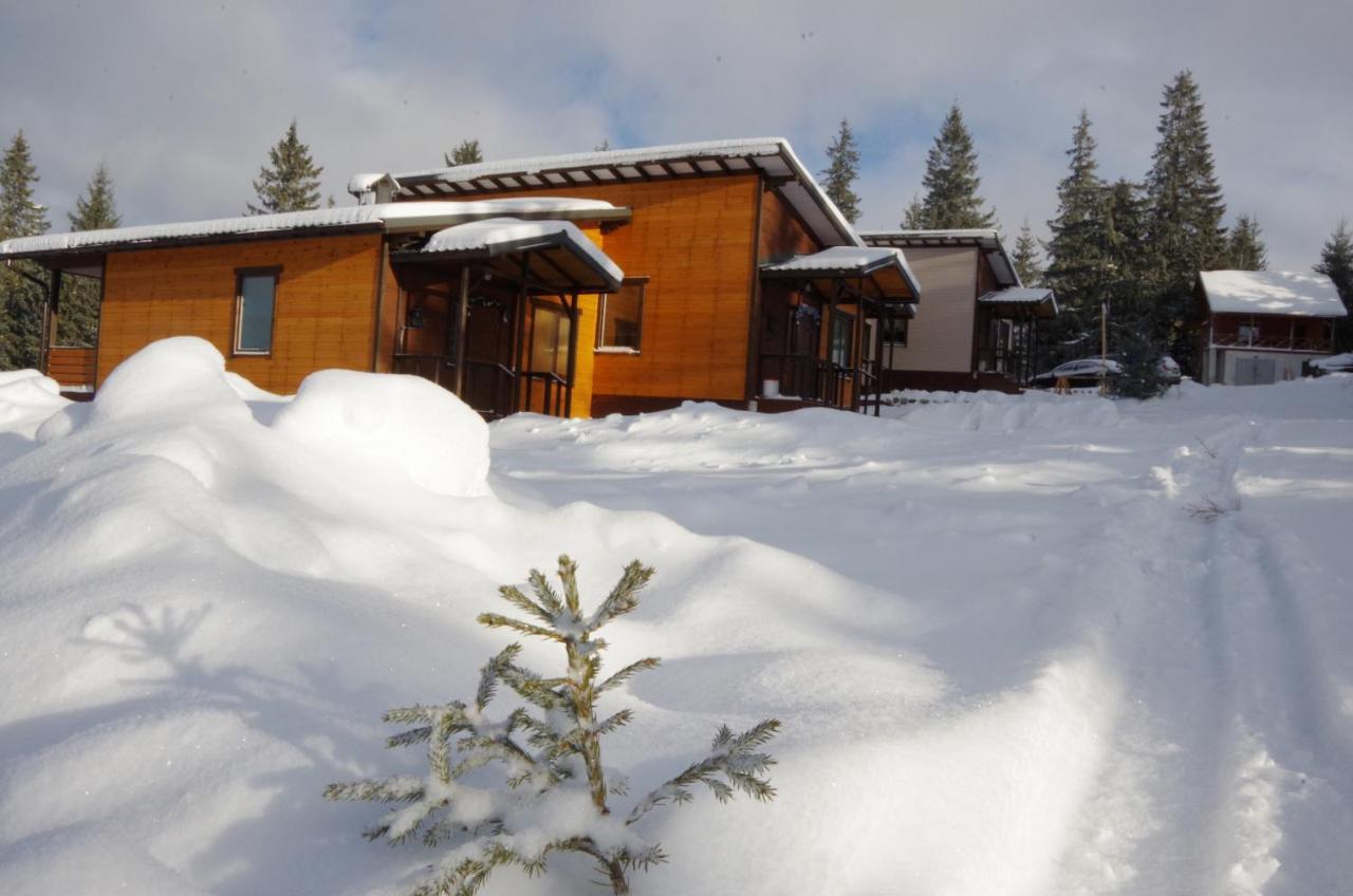 Коттедж Для Отдыха Дискавери Yablunytsya Exterior photo